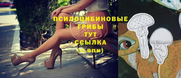 мет Бронницы