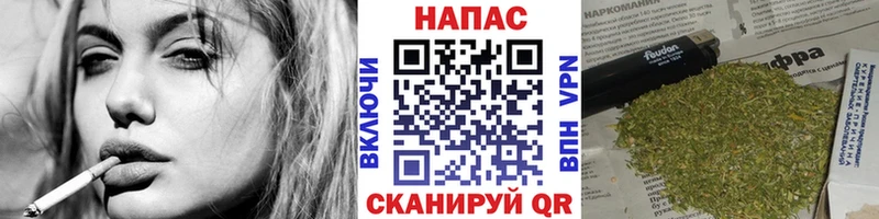где купить наркоту  Мегион  Конопля конопля 